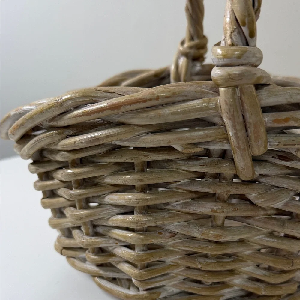 Woven Natural Rattan Storage Basket with Single Handle -‎ Beige/Tan